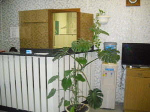 CIMG0803